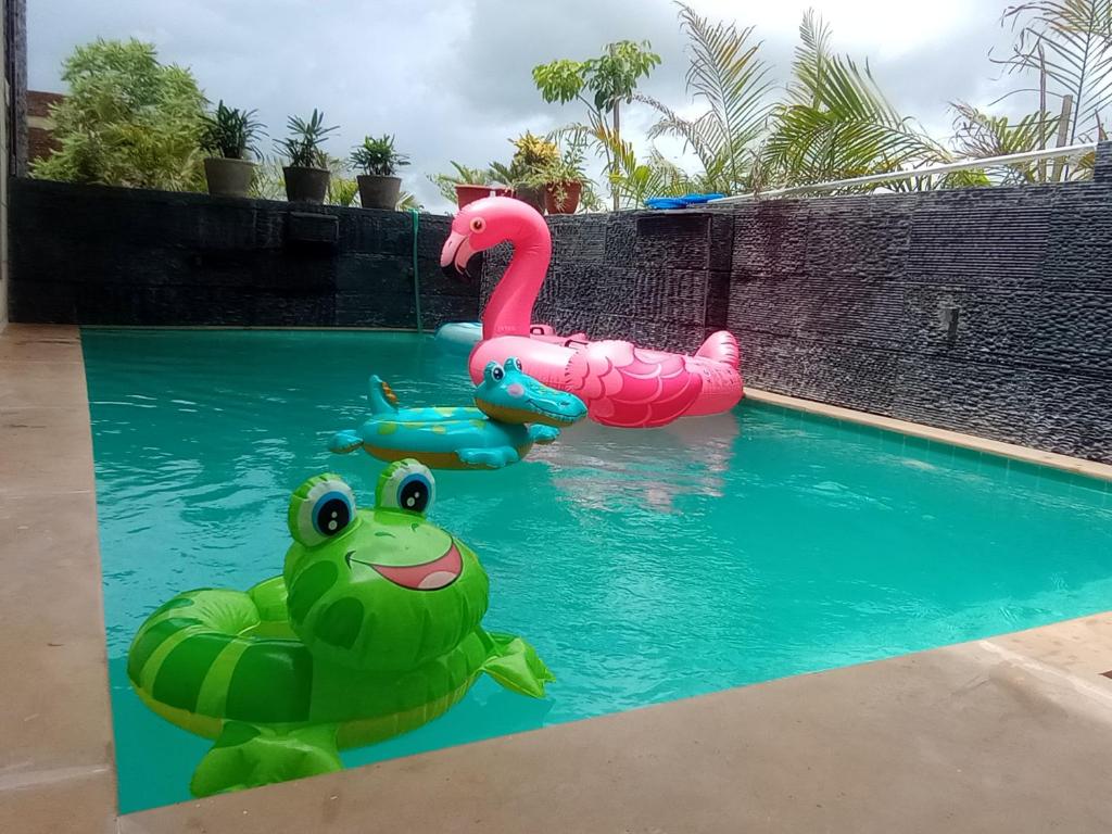a pool with two inflatableurtles in the water at Lavanya Villa with private pool Udaipur in Udaipur