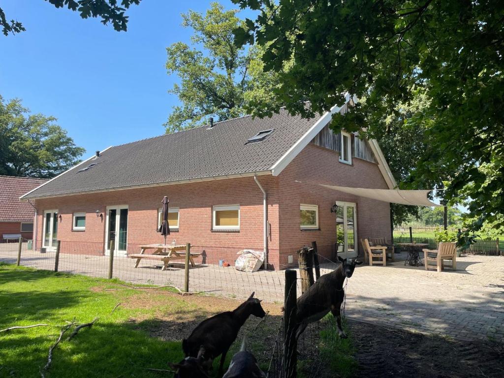 una casa con tres perros delante de ella en Boerderij appartement De Casterie, en Bornerbroek