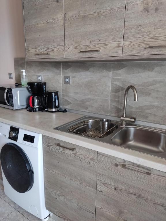 Kuchyň nebo kuchyňský kout v ubytování SEA VIEW APARTMENTS Zeus
