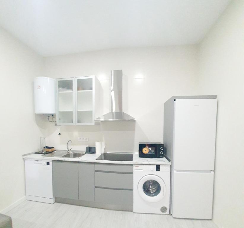 Kuchyň nebo kuchyňský kout v ubytování Apartamento Plaza Calzada 2