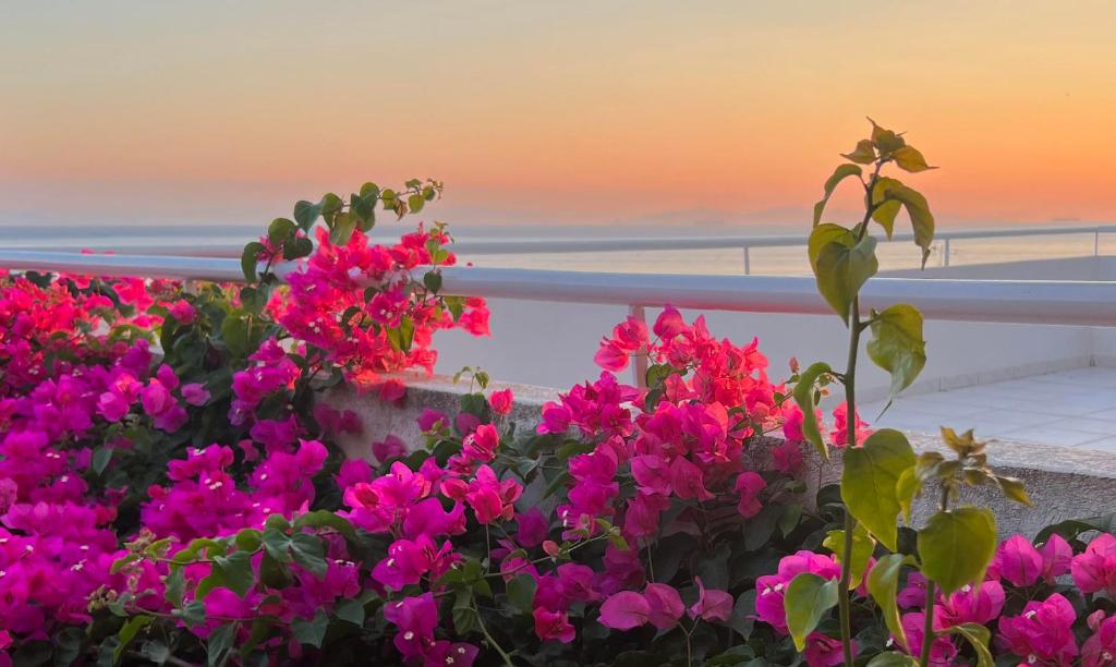 un gruppo di fiori rosa di fronte a una recinzione di Sea, La Vie a Saronida