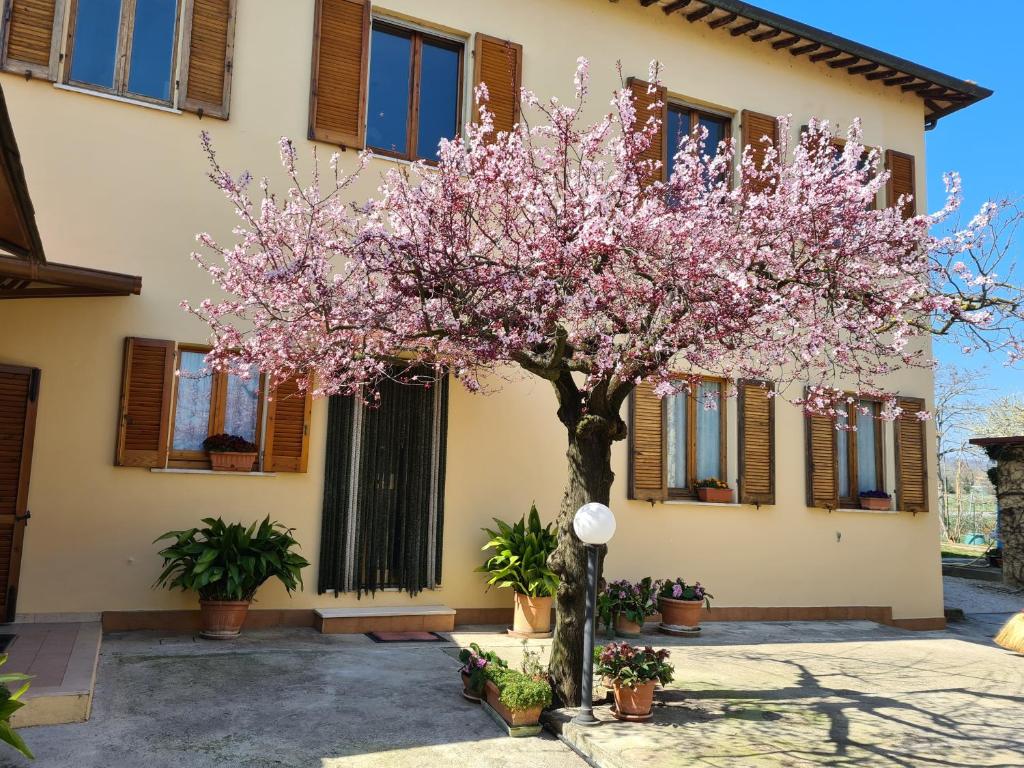 Budova, kde se bed and breakfast nachází