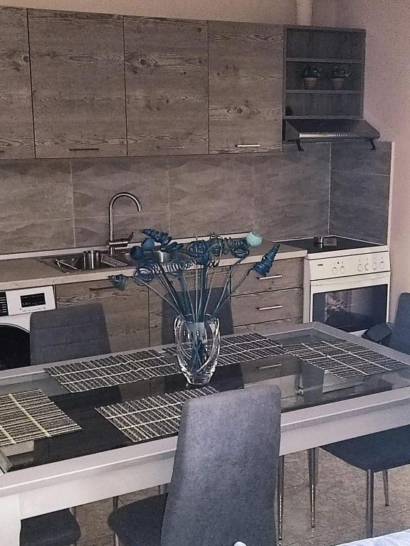 Kuchyň nebo kuchyňský kout v ubytování SEA VIEW APARTMENTS Zeus