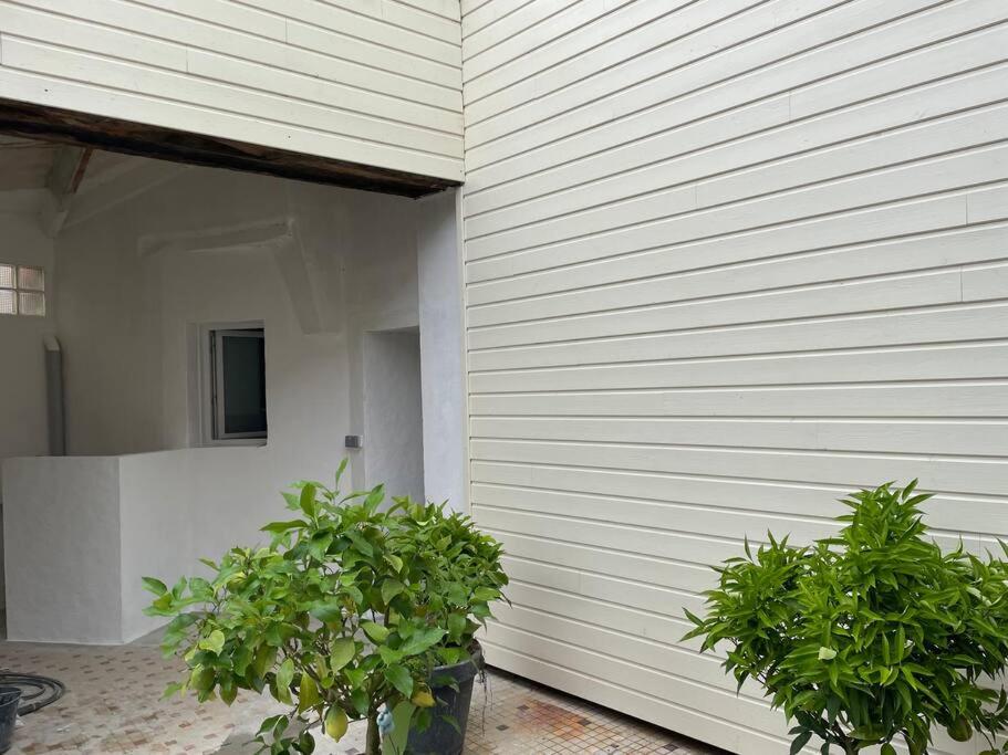 un bâtiment blanc avec deux plantes en pot à côté de celui-ci dans l'établissement Logement entier près de Mauleon.8/10 personnes, à Mauléon
