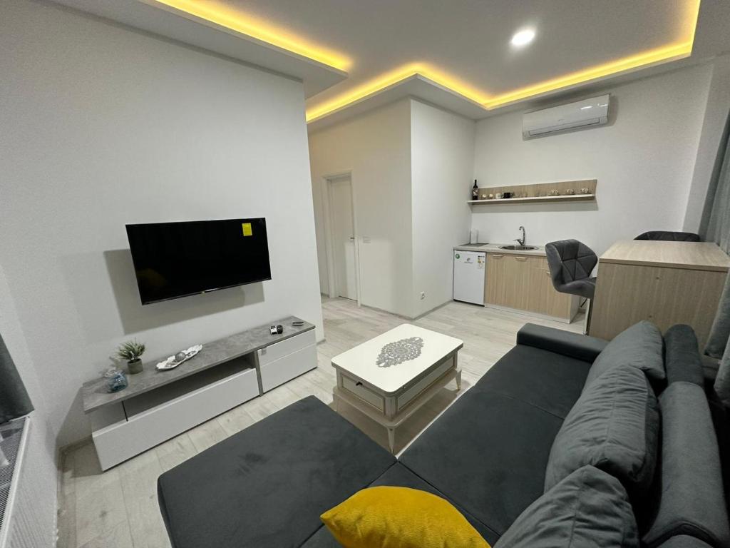 sala de estar con sofá y TV en Apartmani City Foča, en Foča