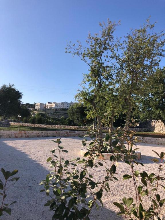 TRULLI LE 2 NICCHIE - 2