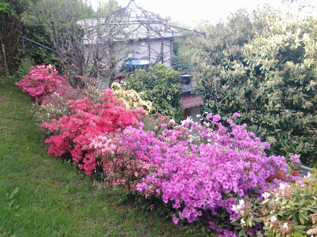 a row of flowers in front of a house at Casa Vacanze Le Violette in Brunate