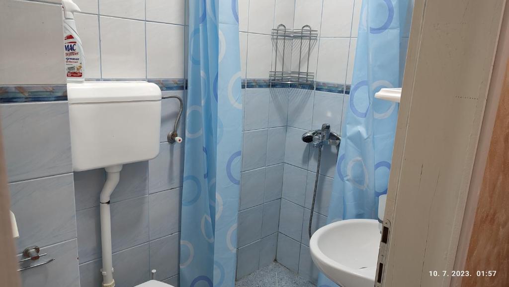 a small bathroom with a toilet and a shower at Pejovic Guest House in Sutomore