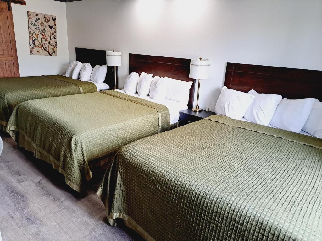 Postel nebo postele na pokoji v ubytování Dunes Motel - Bend