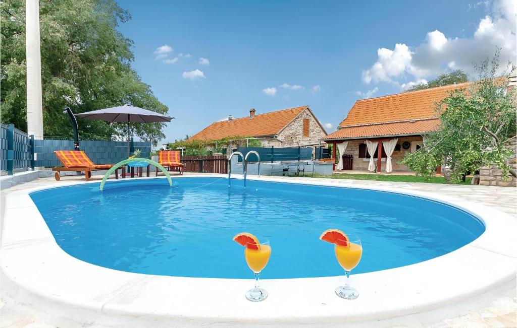 twee vogels zittend in een zwembad met een zwembad bij NEW! Authentic Stone House In National Park Krka in Puljane