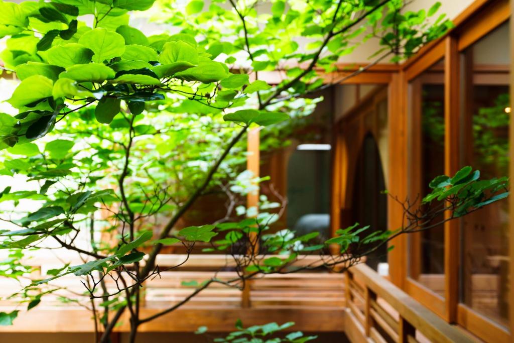 un árbol frente al porche de una casa en hotori en Kioto