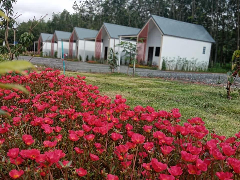 a bunch of red flowers in front of a row of houses at บ้านชมดาวรีสอร์ทบึงโขงหลง in Ban Don Klang