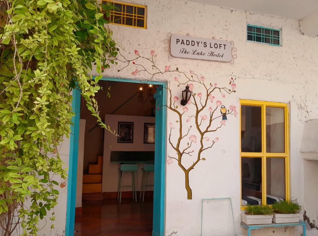Gallery image of Paddy's Loft The Lake view hostel in Udaipur