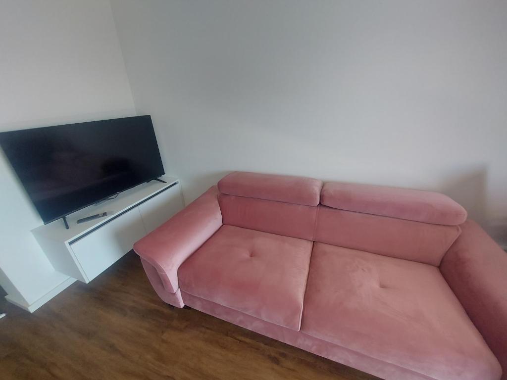 TV a/nebo společenská místnost v ubytování Luxury Apartments Jukić