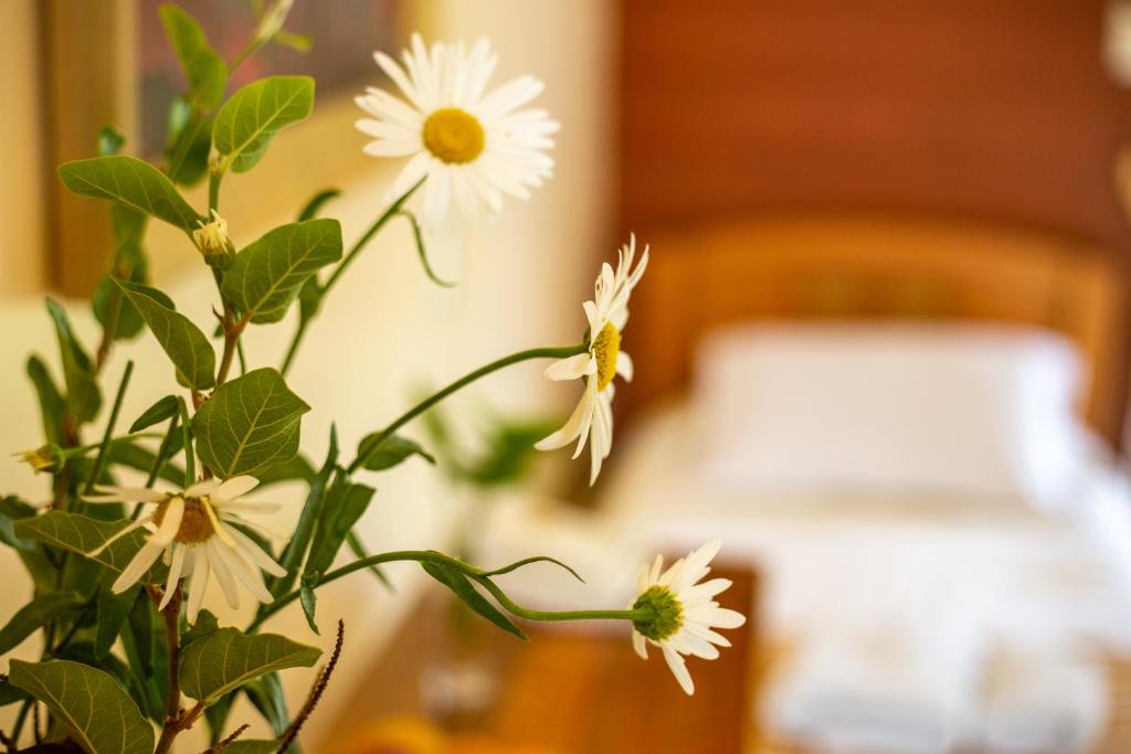 Voodi või voodid majutusasutuse Hostal Uruhao toas