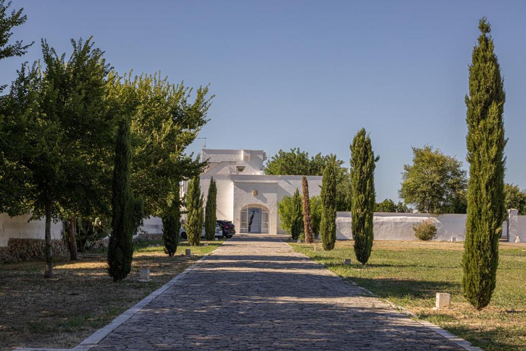 Masseria Malvindi -  a Mesagne - foto 7