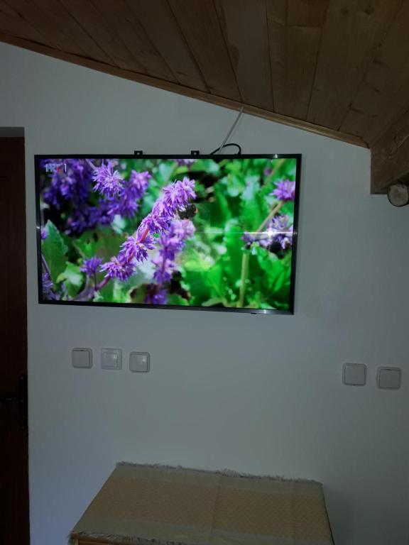 Telewizja i/lub zestaw kina domowego w obiekcie Hacienda in pure nature