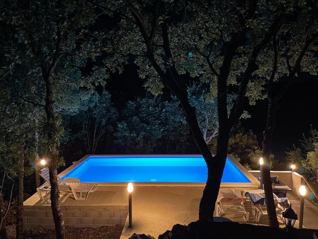een zwembad in een tuin 's nachts bij Holiday House Dunamis in Krivodol