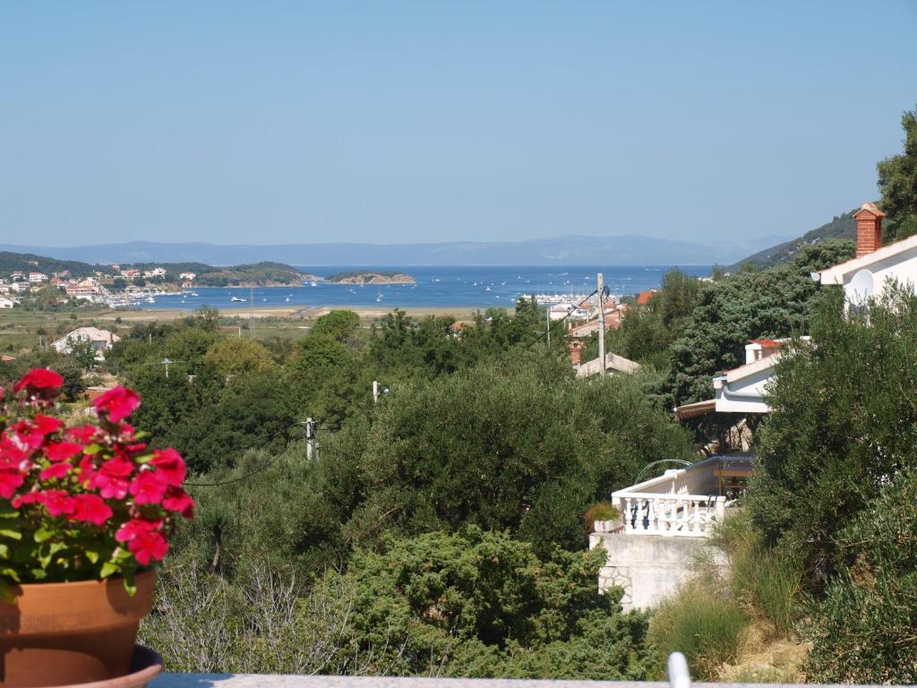 un vase de fleurs sur une colline avec vue sur l'océan dans l'établissement Apartments Dumicic, à Rab
