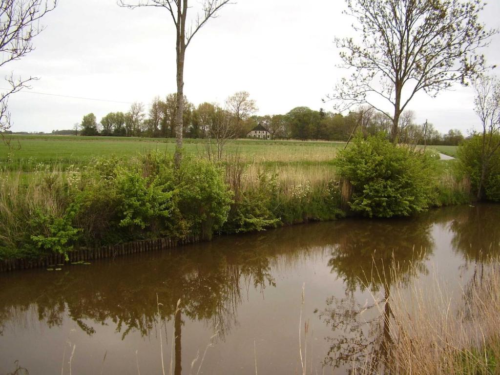 a river with trees and a field in the background at Ferienwohnung in Dornumersiel 20-068 in Dornumersiel