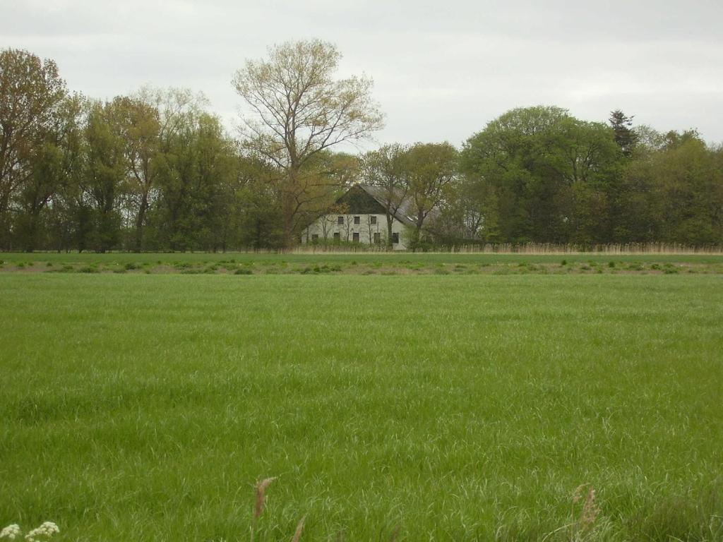 a field of green grass with a white house in the background at Ferienwohnung in Dornumersiel 20-070 in Dornumersiel