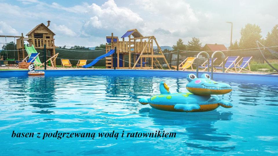 a swimming pool with a hippo in the water at Apartamenty Grapa Resort 2xSauny 2xSale zabaw Balia Kulkolandia in Białka Tatrzańska