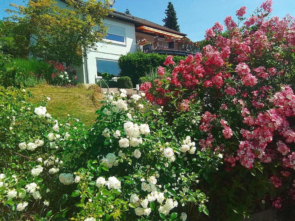 a garden of flowers in front of a house at Ferienwohnung Josi in Heidenheim an der Brenz