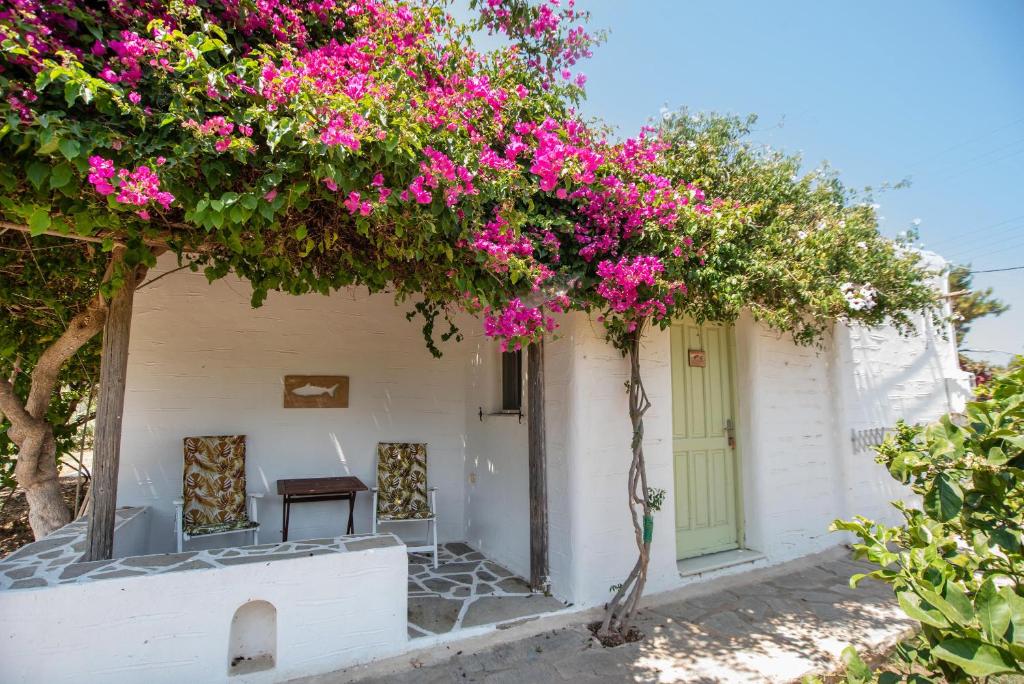 a white building with pink flowers on it at Green Retreats 3 Paros in Isterni