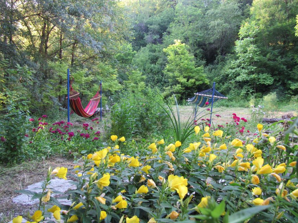 a garden with a bunch of flowers and a hammock at Lola in Ambrolauri