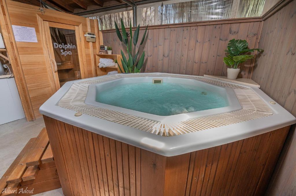 Foto dalla galleria di Talia Cabin Guest & Spa a Rosh Pinna