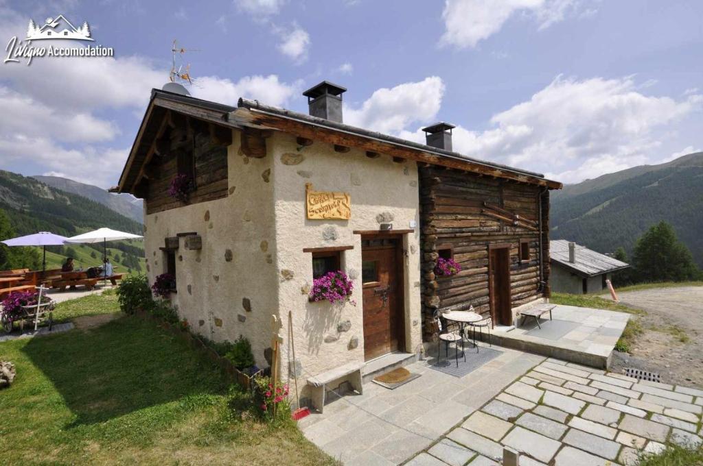 mały domek na środku pola w obiekcie Mountain Chalet Scoiattolo w Livigno