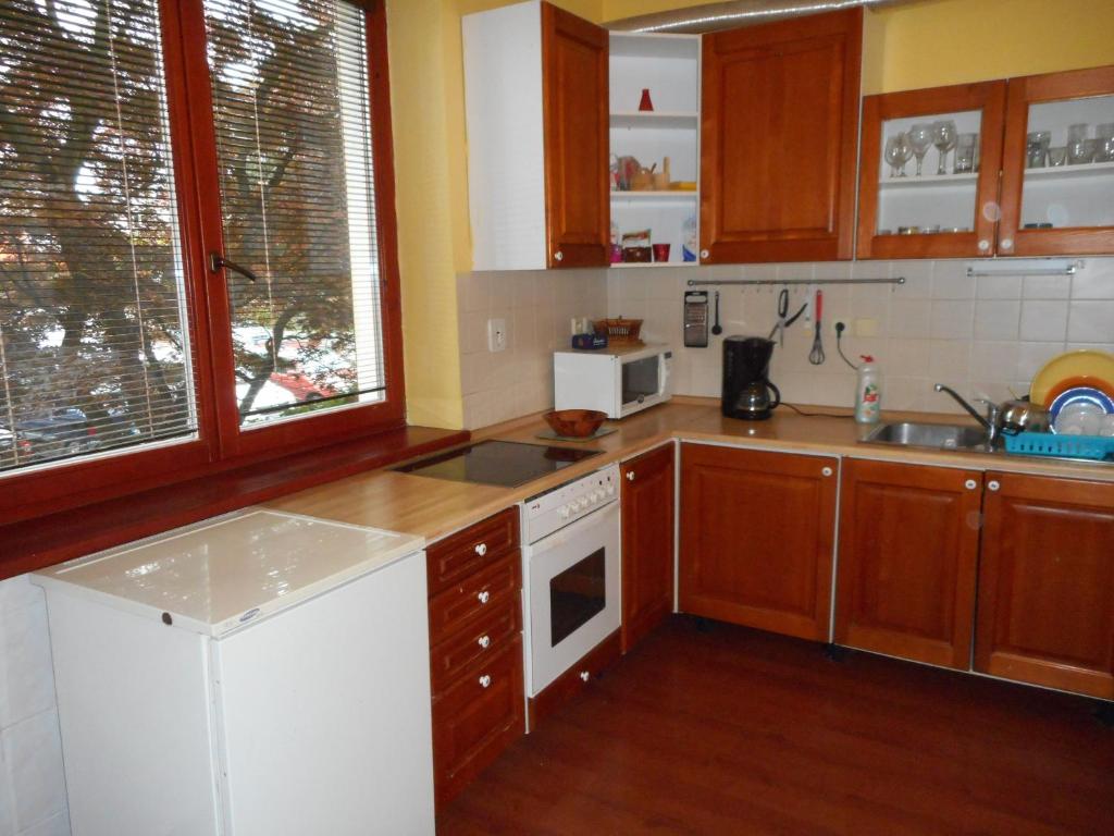Kuchyň nebo kuchyňský kout v ubytování Apartmán Dobrá Naděje