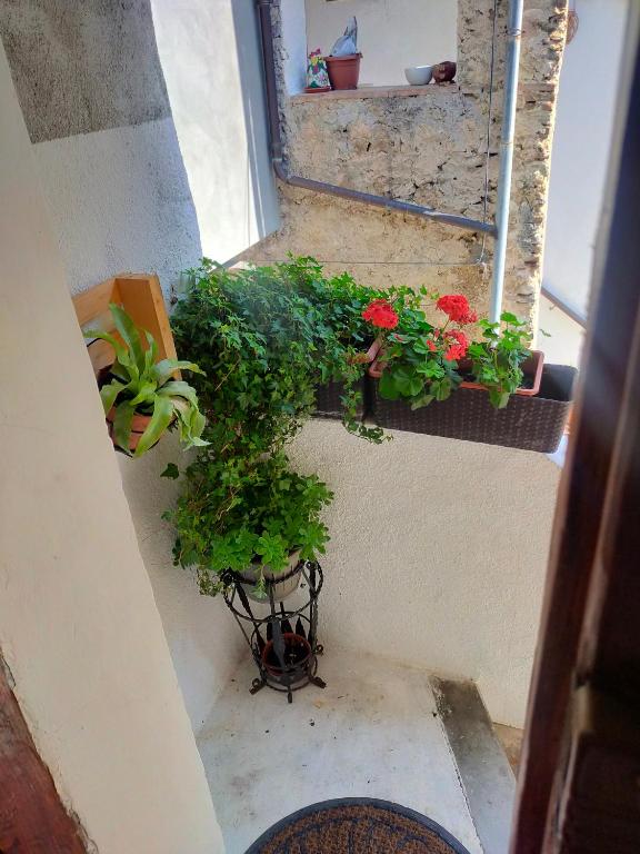 Zahrada ubytování Monolocali Tra Rieti e Terminillo e lago del Salto