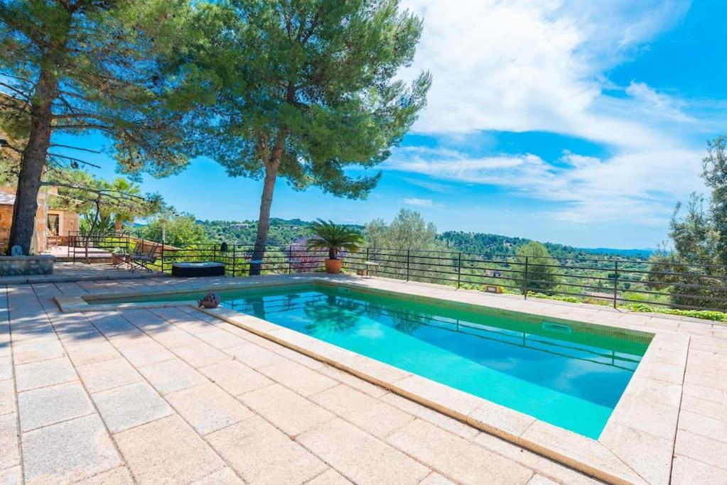 a swimming pool in a backyard with a tree at Villa Cirera in Alaro in Alaró