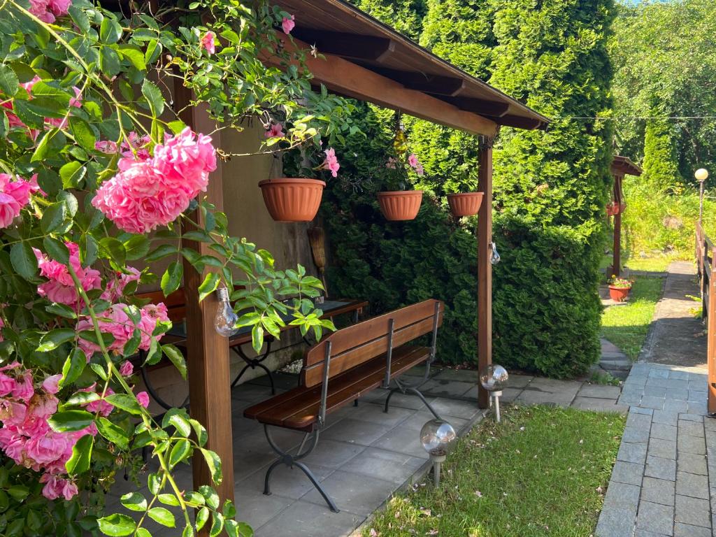 Zahrada ubytování Casa Dan