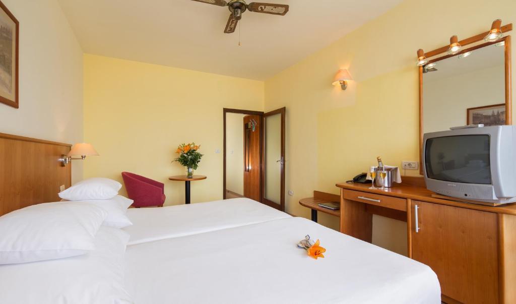 TV a/nebo společenská místnost v ubytování Hotel Zora