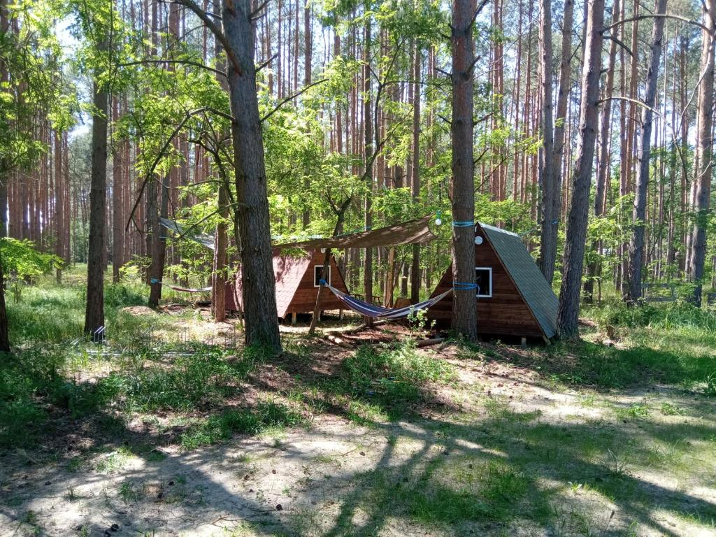 a cabin with a hammock in the woods at Abenteuercamp Schaeferhof Hütten oder Stellplatz für kleinen Camper oder Zelt in Cottbus