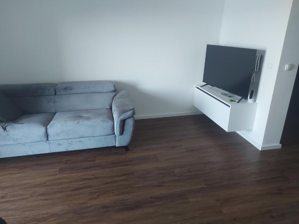 TV a/nebo společenská místnost v ubytování Luxury Apartments Jukić