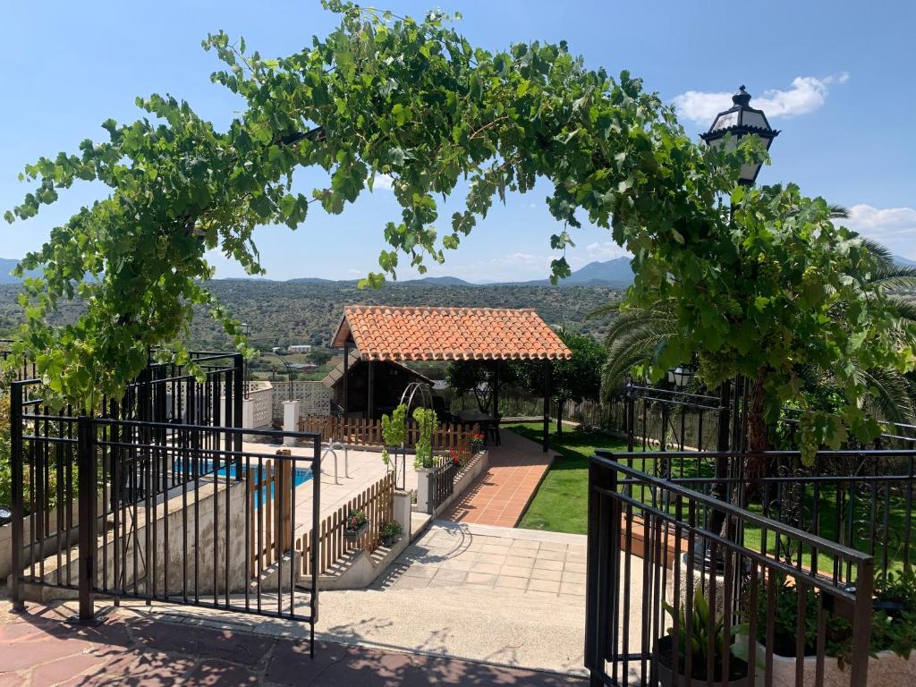 una vista desde el jardín de una casa con un arco de uva en Donde Portela, en Almorox