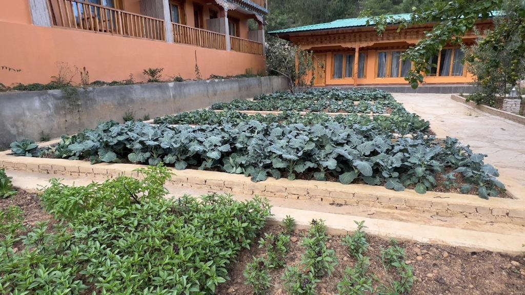 Rema Resort – Photos 1