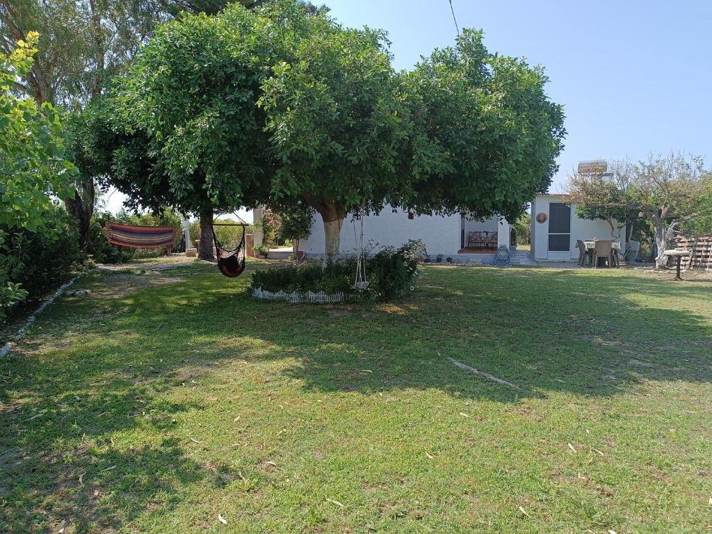 Zahrada ubytování Alonia Summerhouse in Fanes