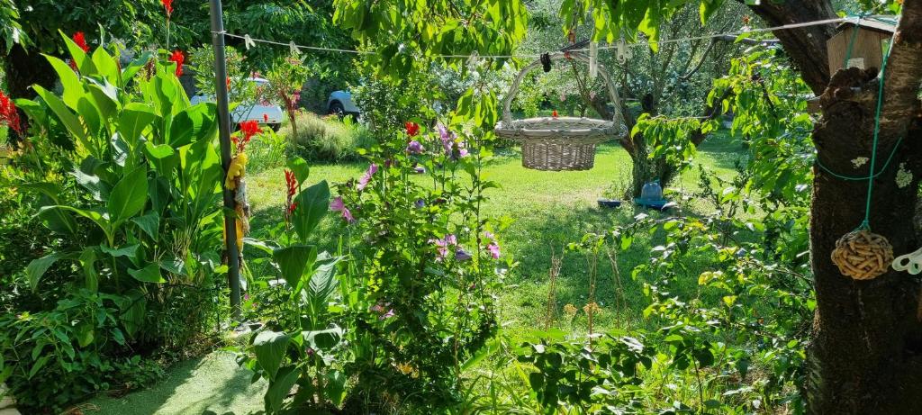 Zahrada ubytování Chambre L'Orchidée