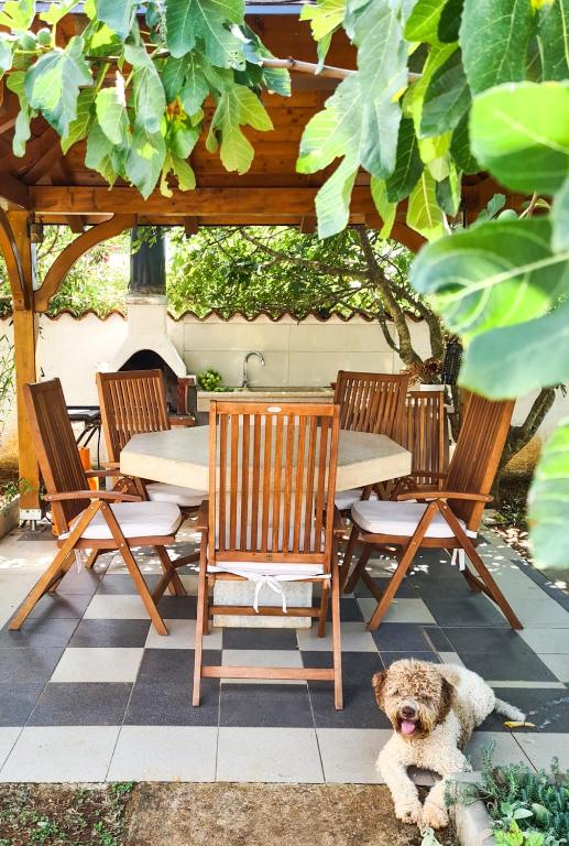 a dog sitting in front of a table and chairs at Holiday home Smokvin Hlad in Peroj