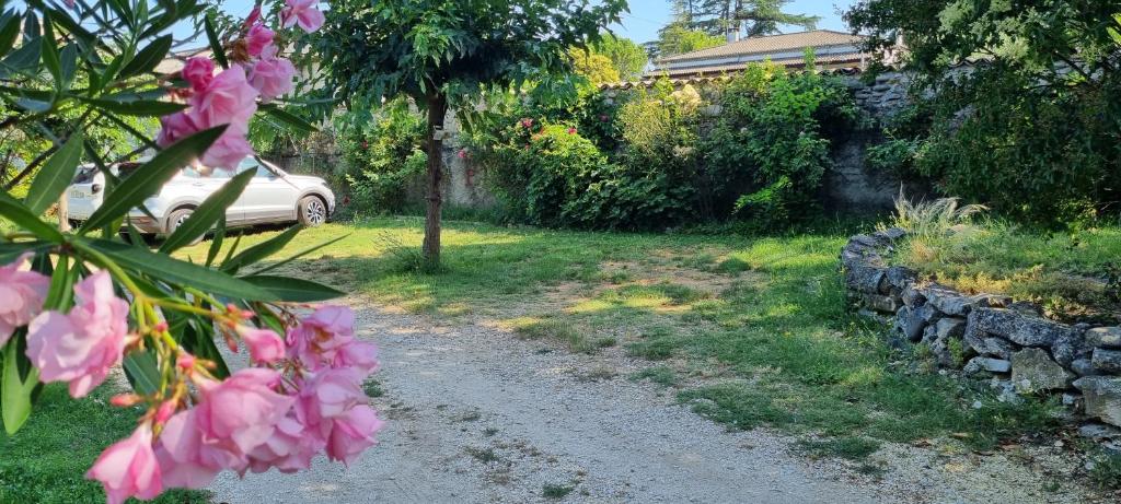 Zahrada ubytování Chambre L'Orchidée
