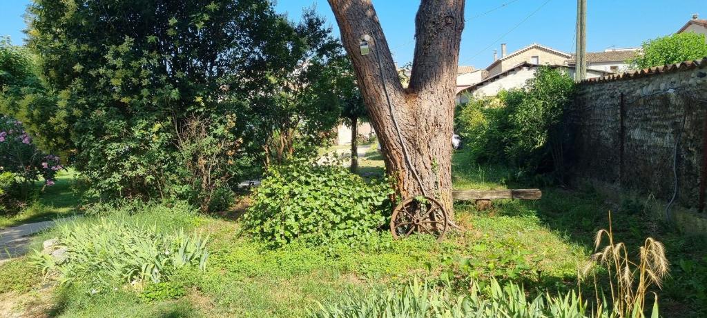 Zahrada ubytování Chambre L'Orchidée