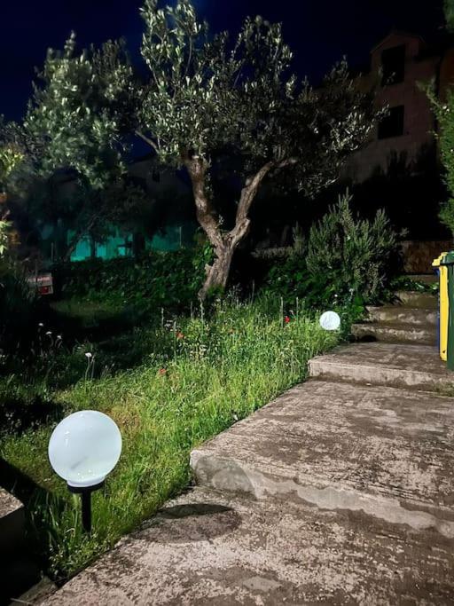 Zahrada ubytování Villa L.L
