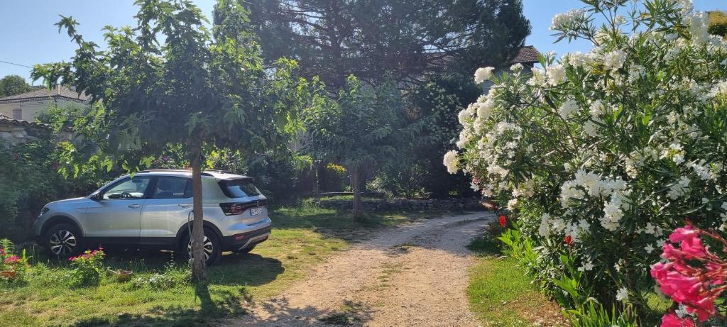 Zahrada ubytování Chambre L'Orchidée