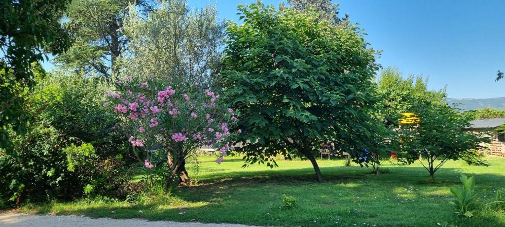 Zahrada ubytování Chambre L'Orchidée