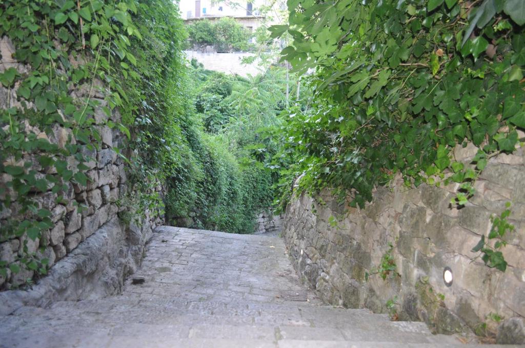 Fotografie z fotogalerie ubytování udammusu34 v destinaci Ragusa