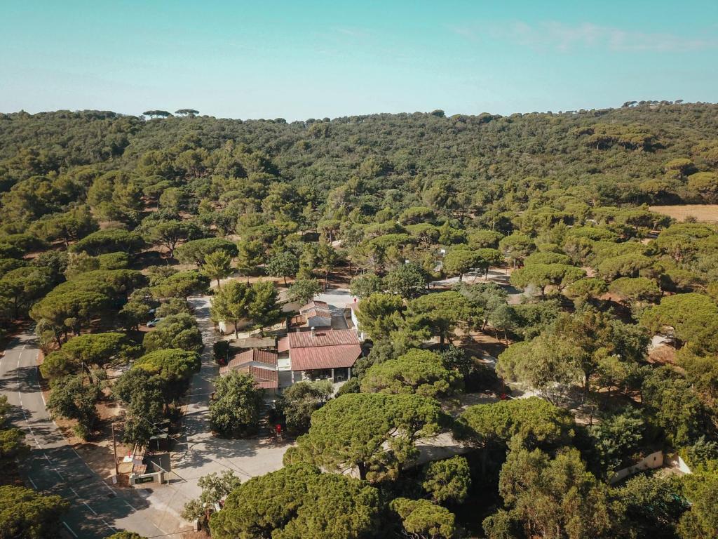 拉馬蒂埃勒的住宿－Camping Ladouceur，森林中村庄的空中景观